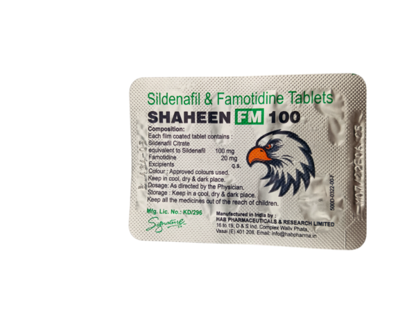 Shaheen FM 100 Tablet