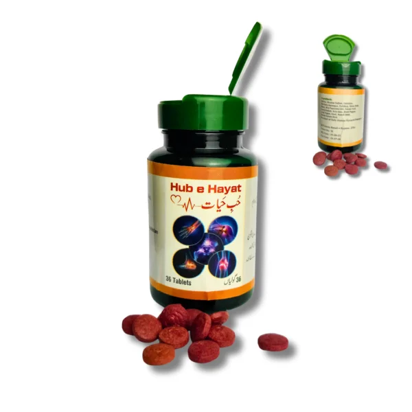Hub e Hayat Joint Pain Treatment - Image 2